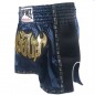 Lumpinee Retro Muay Thai Boxing Shorts : LUMRTO-003 Navy